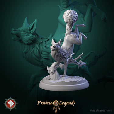 Magic Fox Bundle